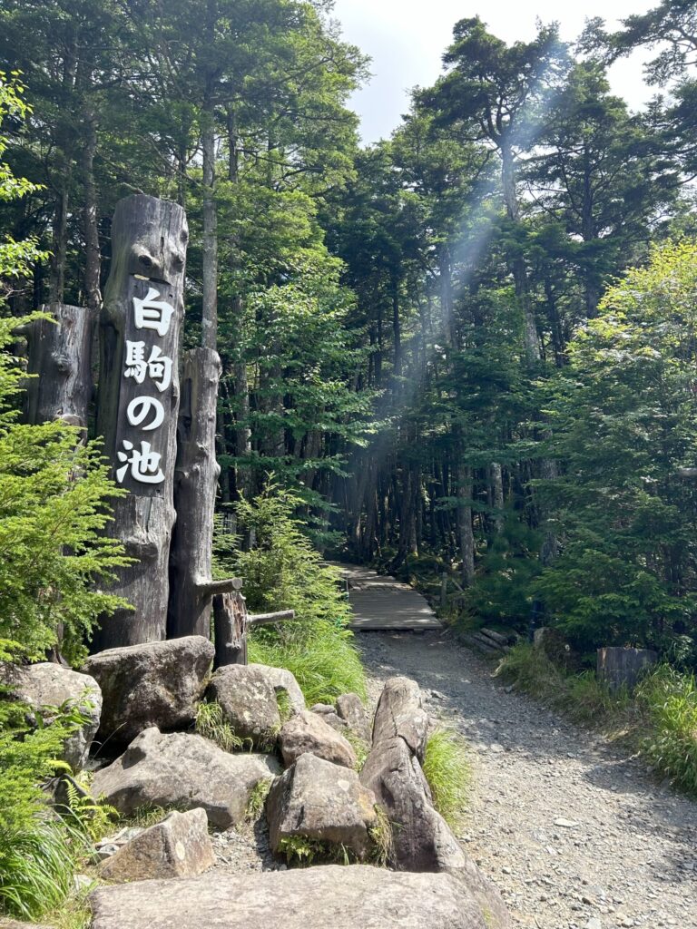 白駒池登山口