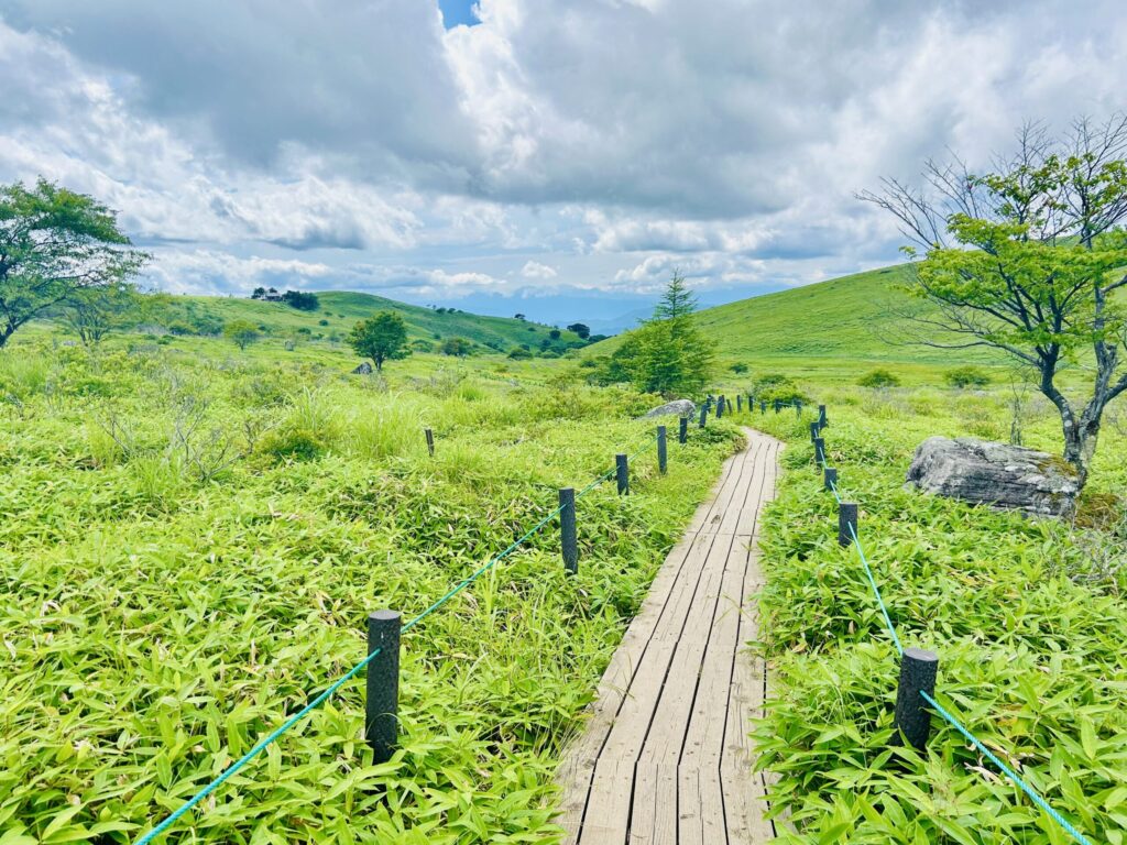 霧ヶ峰の登山道 木道が整備されている