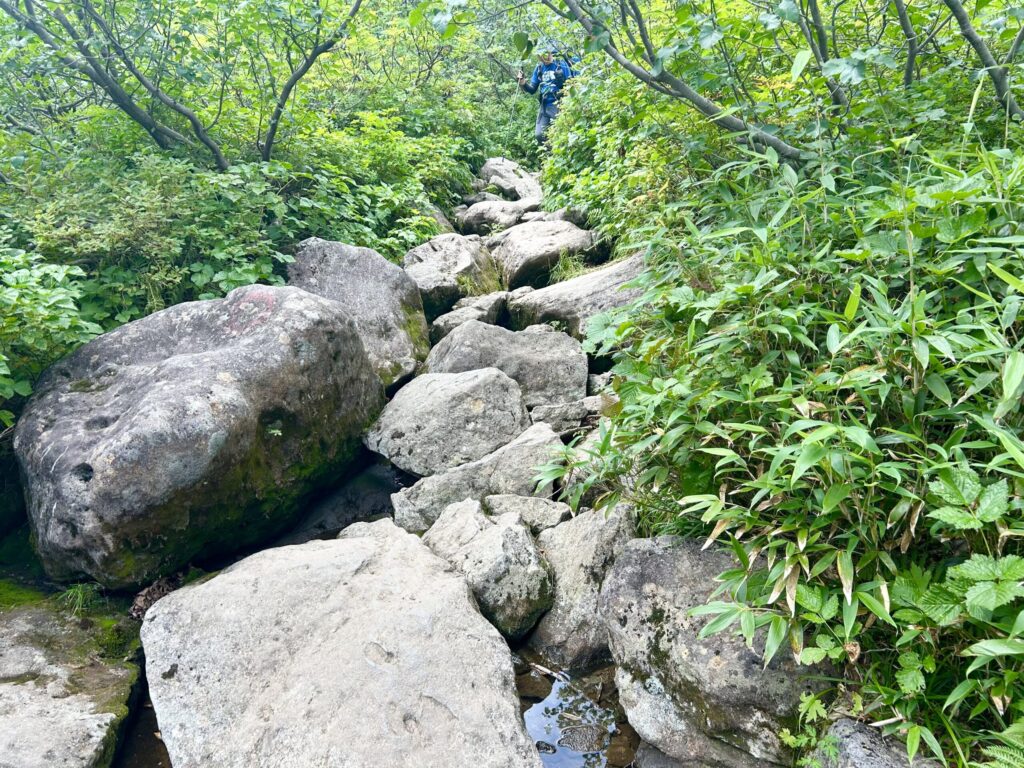 栂池から白馬大池までの登山道の様子
