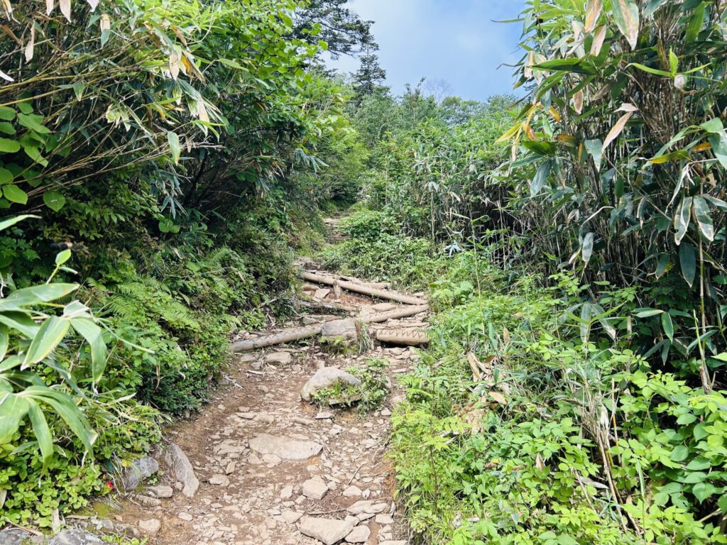 栂池から白馬大池までの登山道の様子