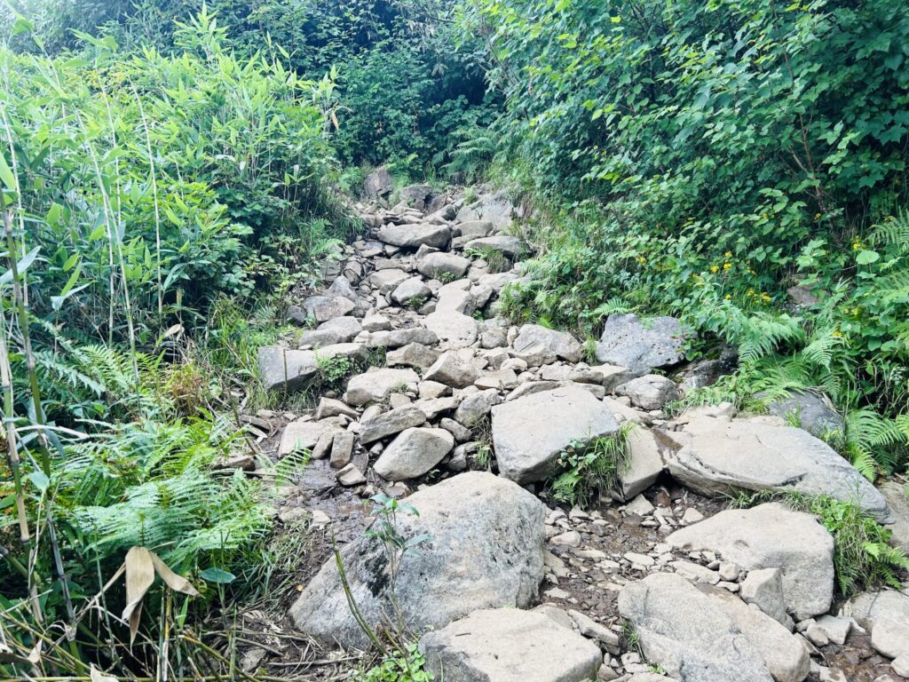栂池から白馬大池までの登山道の様子