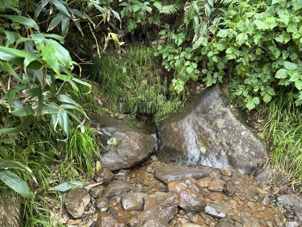 銀嶺水